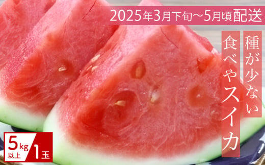 【（有）今帰仁すいか】種が少ない食べやスイカ　5kg【2025年3月下旬～5月頃発送】