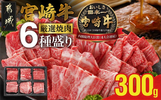 宮崎牛6種盛り焼肉食べ比べ300g_MJ-N202_(都城市)