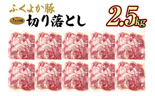 豚肉 ふくよか豚 切り落とし 2.5kg（250g×10パック） モモ ウデ モモ肉 ウデ肉 小分け 真空パック ブタ肉 ぶた肉 生姜焼き 焼きそば 豚汁 冷凍 福岡県 福岡 九州 グルメ お取り寄せ 1423670 - 福岡県田川市