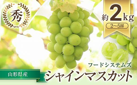 【令和7年産先行予約】 シャインマスカット 約2kg (2～5房 秀) 《令和7年9月下旬～11月中旬発送》 『フードシステムズ』 マスカット 葡萄 ぶどう 種なし 果物 フルーツ デザート 山形県 南陽市 [1388] 291000 - 山形県南陽市