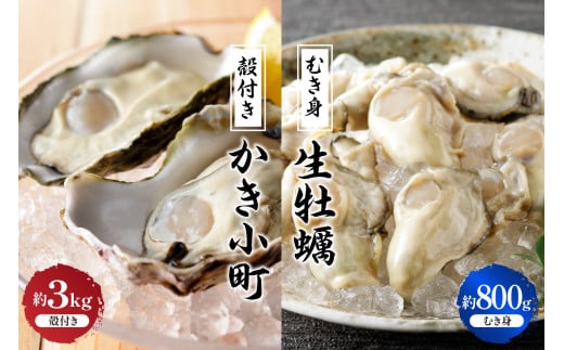 【先行受付】【2025年12月より発送】丸十水産 生牡蠣 特選むき身 800g 殻付き かき小町 約3kg (15～21個) セット ku003-004-25 2065777 - 広島県呉市