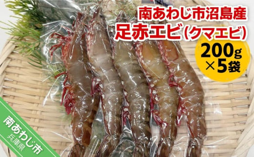 【沼島産】足赤エビ（クマエビ）200ℊ×５袋　◆配送11/1～2/28