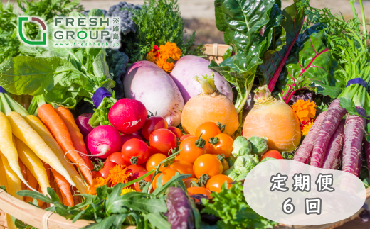 【定期便】彩り野菜と香るハーブセット　６回お届けセット