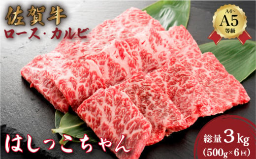 ＜定期便6回＞佐賀牛はしっこちゃん(ロース・カルビ) 計3kg (500g×6回) ／ふるさと納税 佐賀牛 肉 牛肉 黒毛和牛 国産 バーベキュー 焼肉 やきにく にく 赤身 佐賀 佐賀県 ポーク 豚 豚肉 国産牛 佐賀県産 鶏 鶏肉 ギフト 贈答 送料無料 お肉 1378183 - 佐賀県大町町