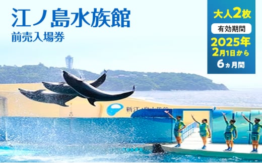 チケット 神奈川 【新江ノ島水族館】前売入場券（大人2枚）有効期間2025年2月1日～6ヵ月間 水族館 前売 入場券 江ノ島 藤沢市 神奈川県 プレゼント ギフト 1541803 - 神奈川県藤沢市