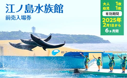 チケット 神奈川 【新江ノ島水族館】前売入場券（大人1枚、幼児1枚）有効期間2025年2月1日～6ヵ月間 水族館 前売 入場券 江ノ島 藤沢市 神奈川県 プレゼント ギフト 1541813 - 神奈川県藤沢市