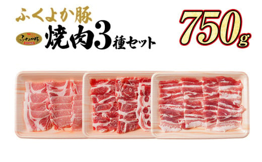 豚肉 焼肉 ふくよか豚 焼肉3種セット 750g ロース 肩ロース バラ ロース肉 肩ロース肉 バラ肉 小分け ブタ肉 ぶた肉 生姜焼き 豚丼 冷凍 福岡県 福岡 九州 グルメ お取り寄せ