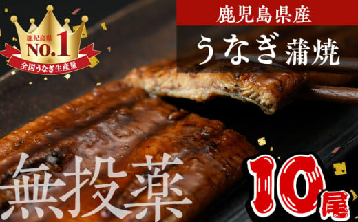 鹿児島県産うなぎ蒲焼 (1尾あたり136g～155g×10尾、タレ・山椒付き) 鰻 ウナギ うな重 ひつまぶし かばやき 九州産 国産 冷凍【西日本養鰻】D34 1557373 - 鹿児島県曽於市