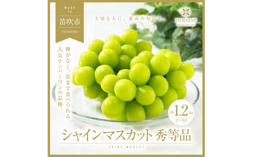 ＜25年発送先行予約＞山梨県笛吹市の旬の採れたてシャインマスカット　秀等品　約1.2kg(2房～3房) 105-006 864988 - 山梨県笛吹市