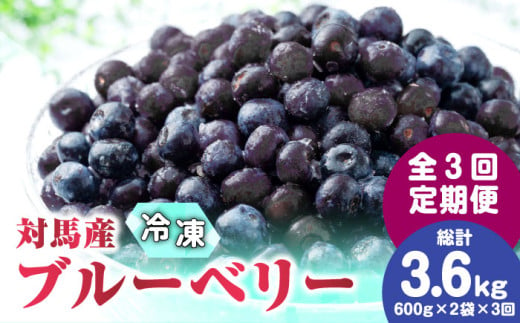 【先行予約】【全3回定期便】 大容量 対馬産 ブルーベリー （ 冷凍 ） 1.2kg【2025年7月上旬以降順次発送】【 さほの里ファーム 】《 対馬市 》 有機 旬 果物 フルーツ [WBG002] 1323754 - 長崎県対馬市