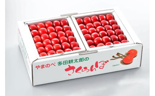 《先行予約》2025年 山形県産 紅秀峰 本詰約1kg L~2L やまのべ多田耕太郎のさくらんぼ サクランボ F20A-054 254734 - 山形県山辺町