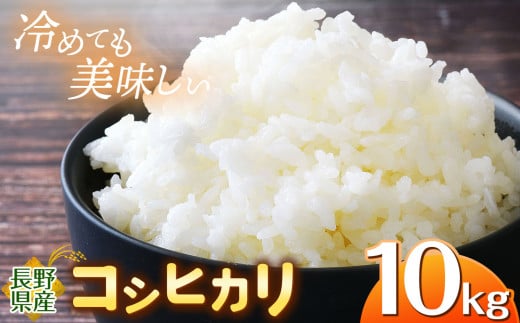 信州米 こしひかり 白米 10kg 長野県産 | 米 コシヒカリ 白米 精米 お米 信州米 10kg 特産品 塩尻市 長野県 信州 