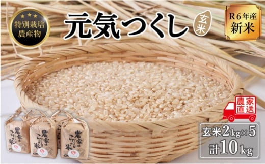 【令和6年度新米】玄米(特別栽培農産物)元気つくし 2kg×5袋 (計10kg) 1283459 - 福岡県大川市