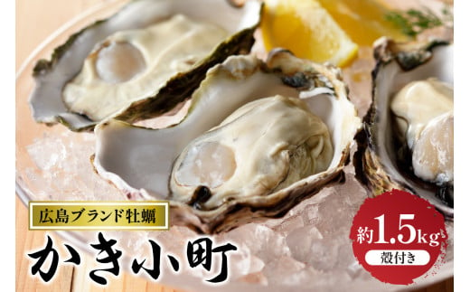 [選べる配送時期]丸十水産 広島ブランド牡蠣 殻付き かき小町 約1.5kg (8〜10個)