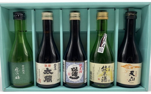 [セット]佐賀認定酒 飲み比べ300ml×5本(天山、佐嘉、井手、松浦一、鳴滝)