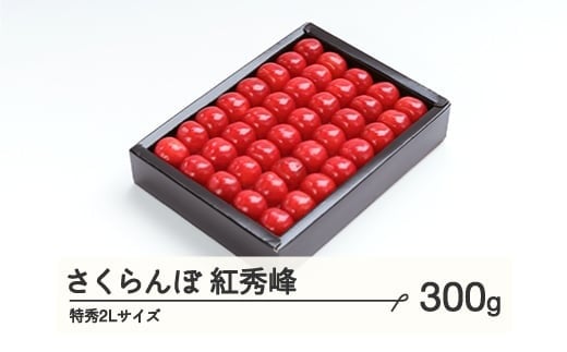 《先行予約》 さくらんぼ 紅秀峰 特秀2Lサイズ 300g 化粧箱鏡詰め 2025年産 令和7年産 山形県産 ns-bst2x300 1318451 - 山形県山辺町