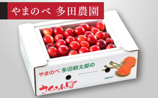 《先行予約》2025年 山形県産 紅さやか バラ詰め(パック）500g M～L やまのべ多田耕太郎のさくらんぼ サクランボ F21A-393 881427 - 山形県山辺町