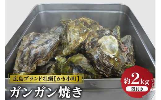 [選べる配送時期]丸十水産 広島ブランド牡蠣 かき小町 ガンガン焼き 約2kg (10〜14個)