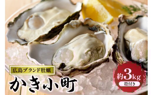 【先行受付】【2025年12月より発送】丸十水産 広島ブランド牡蠣 殻付き かき小町 約3kg (15～21個) ku003-007-25 2065773 - 広島県呉市