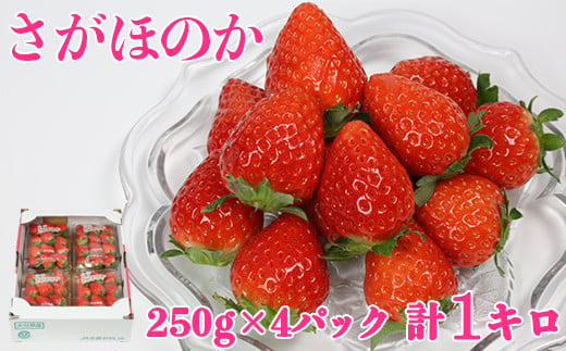 [2月発送]さがほのか 約1kg（約250g×4パック）／ いちご 1kg 先行予約 2月 フルーツ 苺 ＜133-302_5＞ 279246 - 大分県杵築市