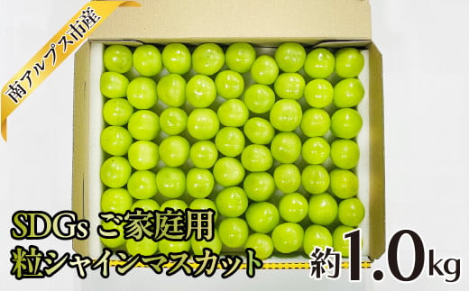 ＜2025年発送分先行予約＞SDGs ご家庭用 粒シャインマスカット約1.0kg ALPAJ049 1542110 - 山梨県南アルプス市