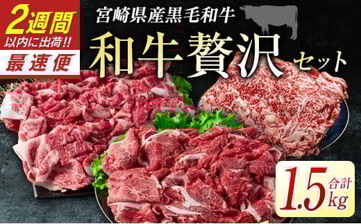 宮崎県産黒毛和牛＜新富育ちGyuGyu・切り落とし肉＆ローススライスセット＞合計1.5kg 贅沢和牛セット 肉 牛肉 宮崎県産【C288-24】