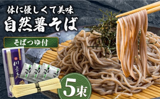 【年内発送】年越しそば 手延べ 自然薯そば 250g（2～3人前）蕎麦つゆセット / 蕎麦 ソバ そば 乾麺 蕎麦年越し 年越しそば 年末発送 麺 自然薯 2000円 2000 / 南島原市 / 川上製麺 [SCM020] 497991 - 長崎県南島原市