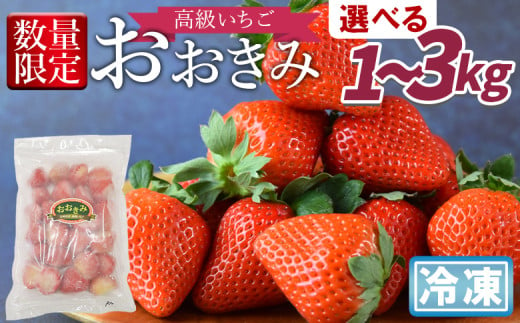 高級いちご「おおきみ」冷凍いちご 2025年1月下旬から順次出荷[ 選べる 果物 くだもの いちご イチゴ 苺 大粒 朝どれ 朝獲れ 産地直送 お菓子づくり お菓子作り 材料 冷凍いちご 冷凍苺 冷凍イチゴ ]