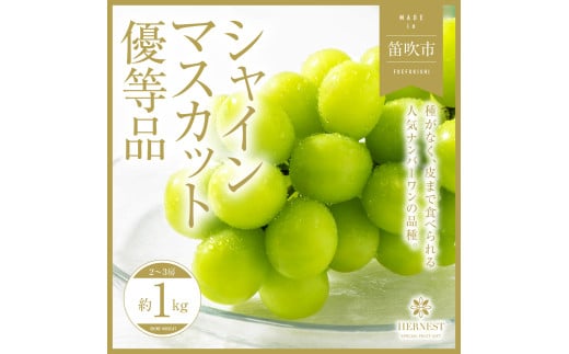 ＜25年発送先行予約＞ 山梨県笛吹市産 シャインマスカット 優等品 約1kg 2～3房 【ご家庭用】 105-025 1512922 - 山梨県笛吹市