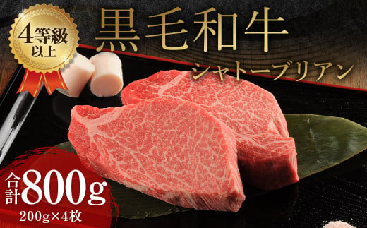 くまもと 黒毛和牛 シャトーブリアン 800g(200g×4枚)牛肉 牛 肉