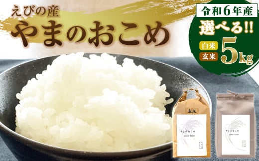 [令和6年産]新米 えびの産 選べる ヒノヒカリ 米 やまのおこめ 5kg 白米 玄米 お米 国産 宮崎県 九州 ひのひかり 送料無料 おにぎり こめ コメ