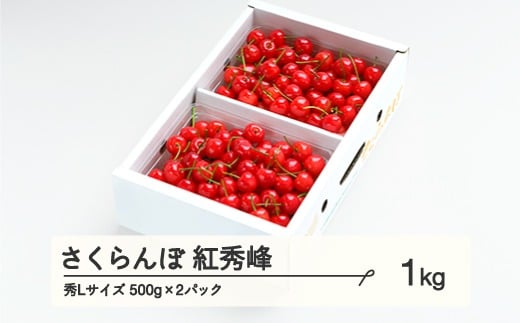 《先行予約》 さくらんぼ 紅秀峰 秀Lサイズ 1㎏ バラ詰め 化粧箱 (500gx2)  2025年産 令和7年産 山形県産 ns-bsslb1 1318449 - 山形県山辺町