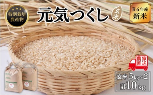 【令和6年度新米】玄米(特別栽培農産物)元気つくし 5kg×2袋 (計10kg) 1283458 - 福岡県大川市