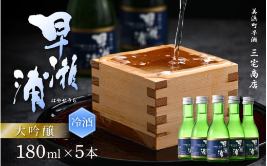 【早瀬浦】大吟醸冷用酒180ml × 5本 セット【入手困難 山田錦 大吟醸 冷酒 日本酒 地酒 福井 美浜 早瀬 フルーティ 男酒 硬水 ミネラル 希少 ご褒美 家飲み 就職祝い 転職祝い ハレの日】 [m16-a024] 906129 - 福井県美浜町