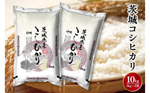 令和6年産茨城コシヒカリ5㎏×2【お米 こめ 米 こしひかり 茨城県 茨城県産 20000円以下 2万円以下】（LL-1） 1541181 - 茨城県水戸市