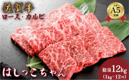 ＜定期便12回＞佐賀牛はしっこちゃん(ロース・カルビ) 計12kg (1kg×12回) ／  ロース カルビ サーロイン ステーキ ふるさと納税 佐賀牛 肉 牛肉 黒毛和牛 国産 バーベキュー 焼肉 やきにく にく 赤身 佐賀 佐賀県 ポーク 豚 豚肉 国産牛 佐賀県産 鶏 鶏肉 ギフト 贈答 送料無料 お肉 1378187 - 佐賀県大町町