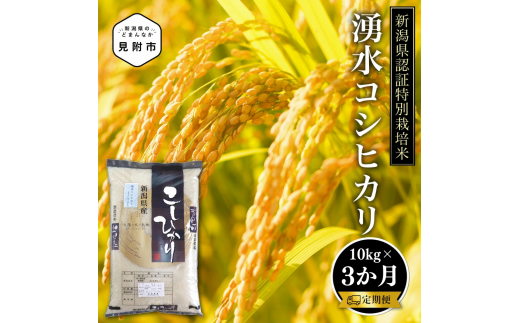 新潟 特別栽培米 令和6年産 コシヒカリ 「湧水コシヒカリ」 精米 30kg ( 10kg(5kg×2)×3か月 ）定期便 精米 したてを お届け 新潟 のど真ん中 見附市 こしひかり 米 お米 白米 国産 ごはん ご飯 県認証米 安心安全 ブランド 品集 1557056 - 新潟県見附市