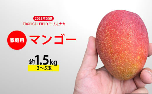 2025年発送【TROPICAL FIELD モリ之ナカ】家庭用マンゴー約1.5kg（3～5玉） フルーツ 果物 期間限定 数量限定 先行予約 南国 プレゼント お土産 おみやげ ギフト くだもの 沖縄 おきなわ 青果 デザート おすすめ 人気 冷蔵 夏 スイーツ