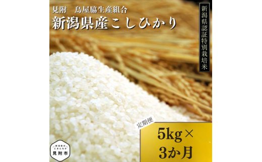 新潟 特別栽培米 令和6年産 コシヒカリ 「鳥屋脇町生産組合コシヒカリ」 精米 15kg ( 5kg×3ヶ月 ）定期便 精米 したてを お届け 新潟 のど真ん中 見附市 こしひかり 米 お米 白米 国産 ごはん ご飯 県認証米 安心安全 1557055 - 新潟県見附市