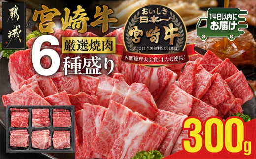 宮崎牛6種盛り焼肉食べ比べ300g≪みやこんじょ快速便≫_MJ-N202-R_(都城市)