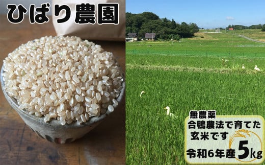 【無農薬】合鴨農法で育てたひばり農園の玄米（りくう132号） ５kg 【583】 238037 - 岩手県花巻市