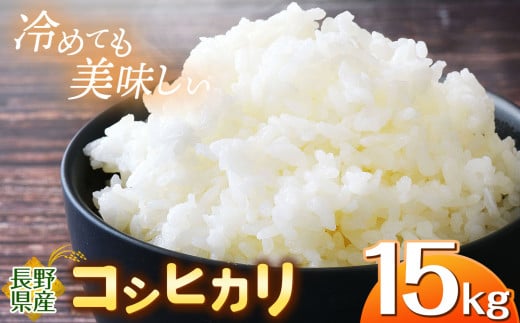 信州米 こしひかり 白米 15kg 長野県産 | 米 コシヒカリ 白米 精米 お米 信州米 15kg 特産品 塩尻市 長野県 信州 