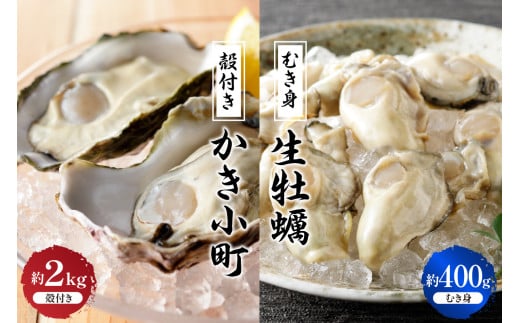 [選べる配送時期]丸十水産 生牡蠣 特選むき身 400g 殻付き かき小町 約2kg (10〜14個) セット