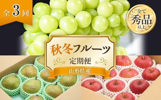 【令和7年産先行予約】 《定期便3回》 秋冬フルーツ定期便 『フードシステムズ』 山形県 南陽市 [1150-R7] 600779 - 山形県南陽市