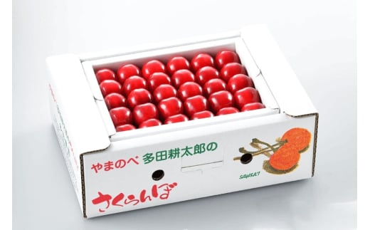 《先行予約》2025年 山形県産 紅秀峰 本詰め 約500g L~2L やまのべ多田耕太郎のさくらんぼ サクランボ F20A-046 254726 - 山形県山辺町