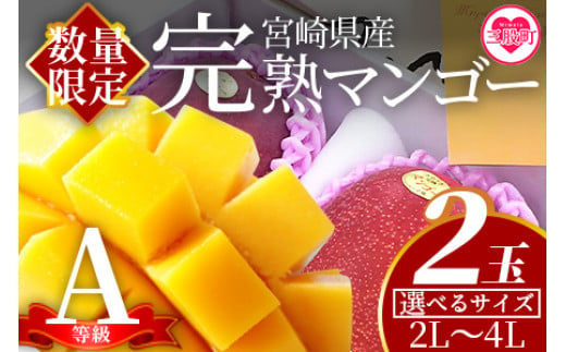 [ふるさと納税]先行予約[期間数量限定]2025年5月発送[選べるサイズ 宮崎県産完熟マンゴー 2Lor3L〜4L 合計2玉][B-0602-yk-oya][みまたんよかもん協同組合]