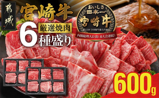 宮崎牛6種盛り焼肉食べ比べ600g_AC-N201_(都城市)