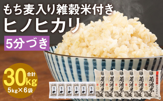 熊本県菊池産 ヒノヒカリ 5分づき米 5kg×6袋 もち麦入り雑穀米 200g×6袋 計31.2kg 1117249 - 熊本県菊池市