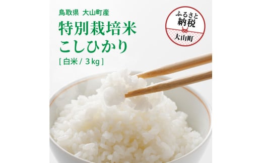 MR-10 減農薬・減化学肥料　特別栽培米こしひかり　3kg（白米） 1541092 - 鳥取県大山町