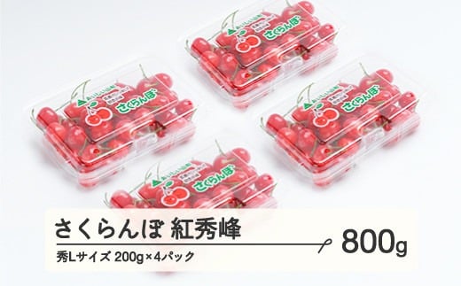 《先行予約》 さくらんぼ 紅秀峰 秀Lサイズ 800g (200gx4パック) フードパック 2025年産 令和7年産 山形県産 ns-bsslp800 1318450 - 山形県山辺町